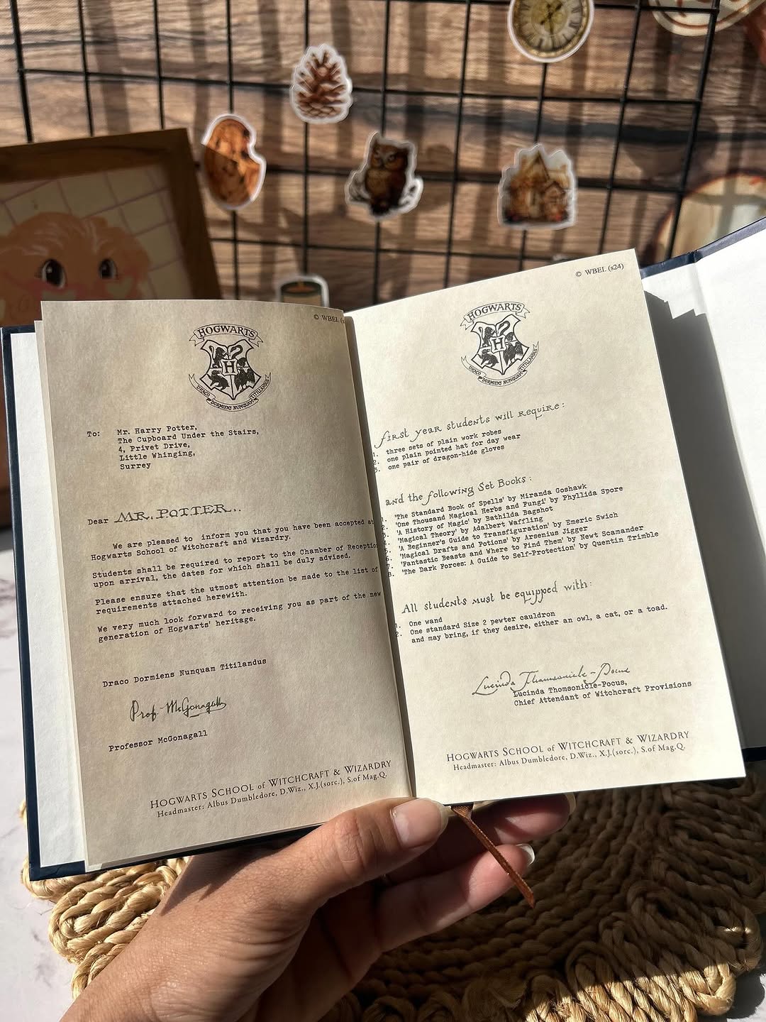 Harry Potter Diary