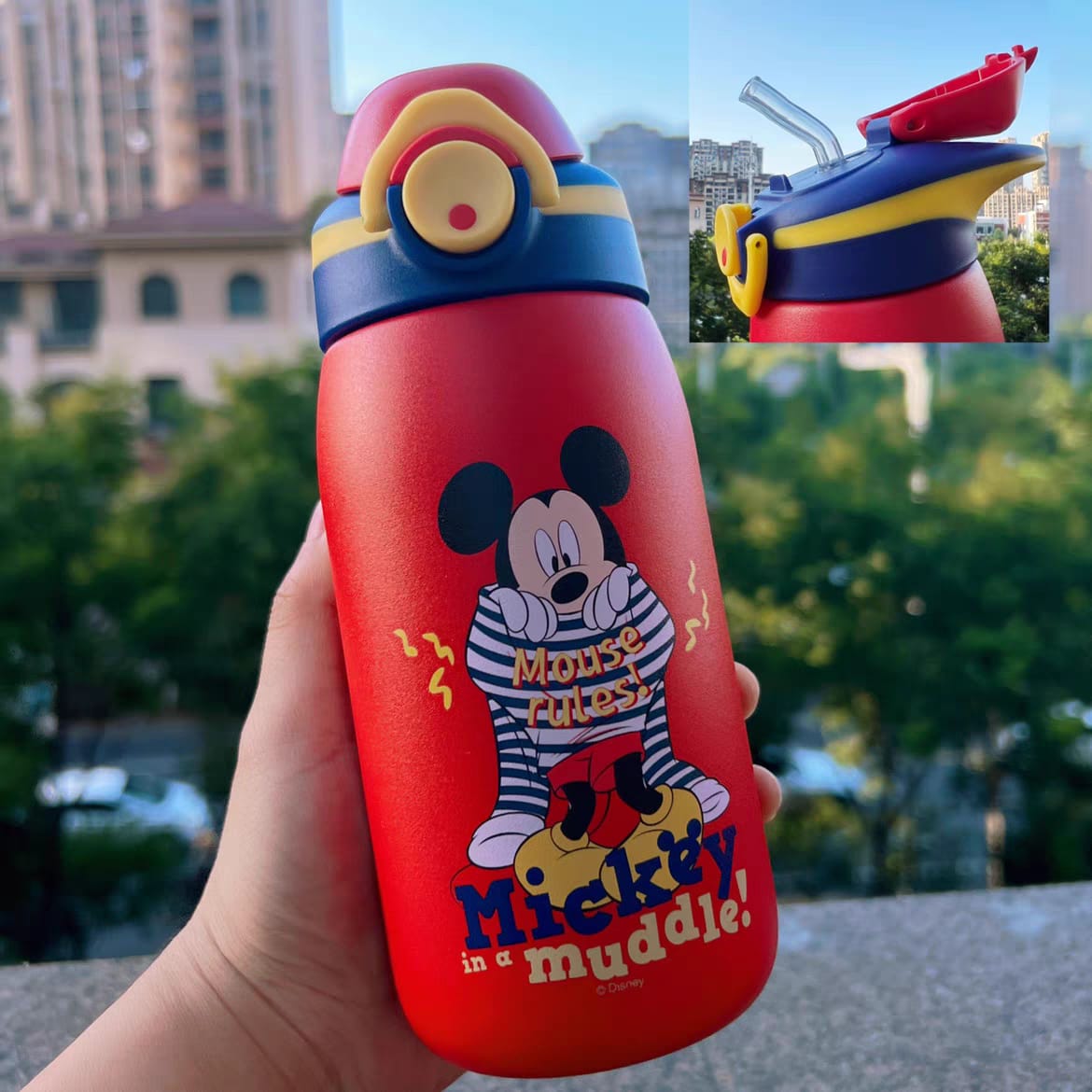 Disney Original Insulated Steel Sippers