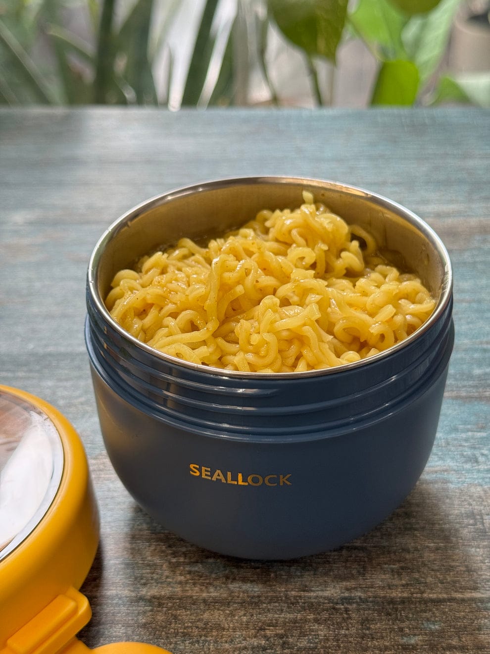 Premium Quality Steel Snacks-cum-Lunch Box