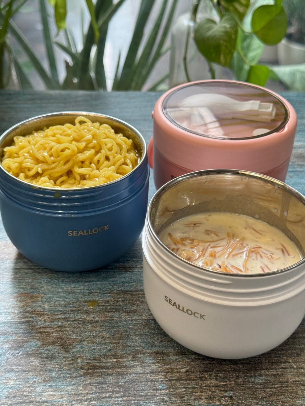 Premium Quality Steel Snacks-cum-Lunch Box